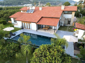 Villa Queen Palm
